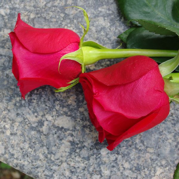 Wrongful death